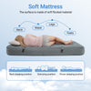 SoBuy 3-in-1 Retkiteltta & Ilmapatja – Kahden hengen retkipatjasetti (OGS32-II-L-HG)